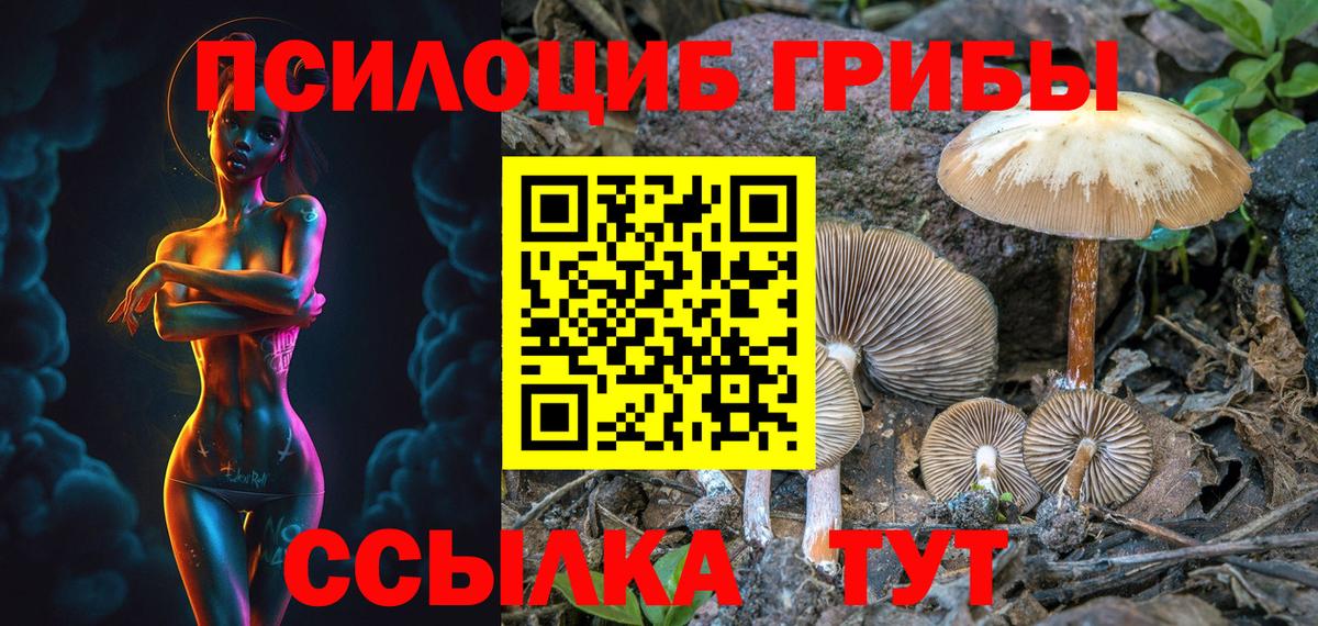 Чусовой  Псилоцибиновые грибы Cubensis  Вход с VPN 