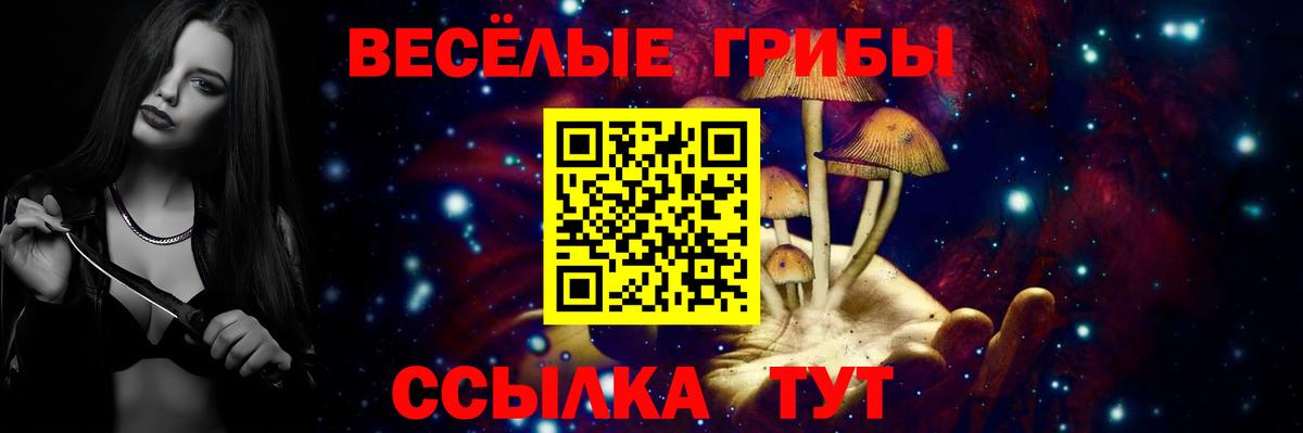 Галлюциногенные грибы мухоморы Чусовой